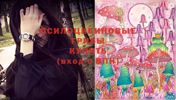 дмт Аркадак